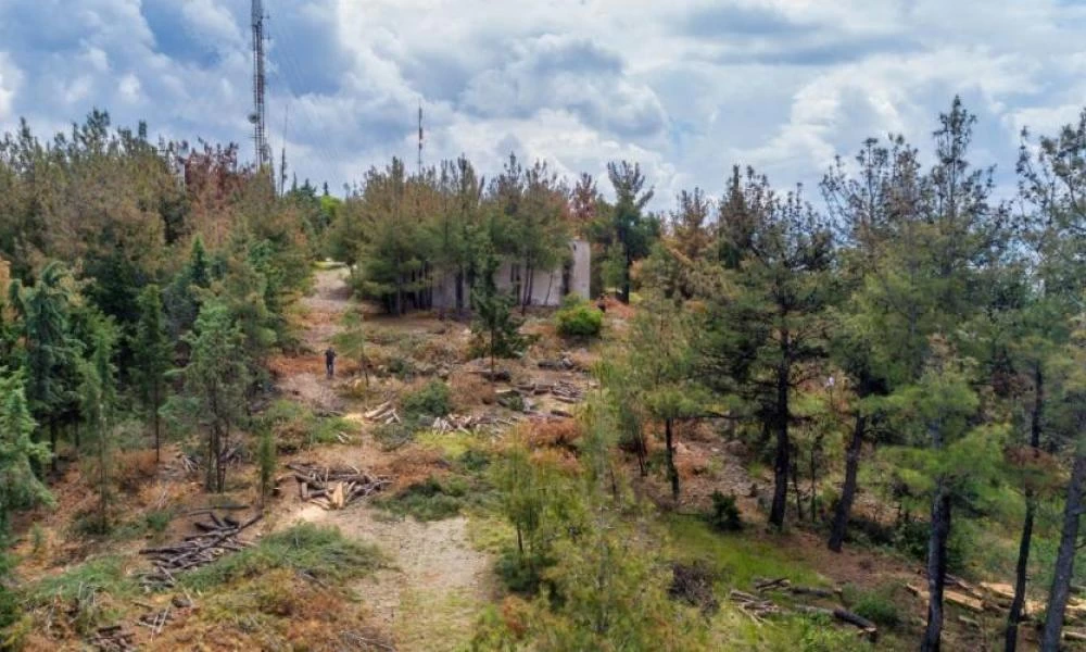 Το σχέδιο για τους δασικούς χάρτες- Πώς θα σωθούν οι ιδιωτικές περιουσίες